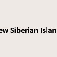 New Siberian Islands是什么意思