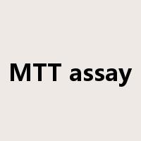 MTT assay是什么意思