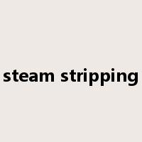 steam stripping是什么意思