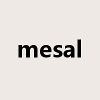 mesal是什么意思
