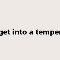 get into a temper是什么意思