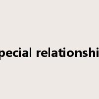 special relationship是什么意思