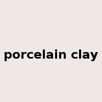 porcelain clay是什么意思