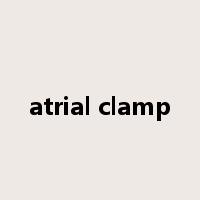 atrial clamp是什么意思
