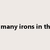 have many irons in the fire是什么意思