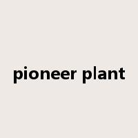 pioneer plant是什么意思