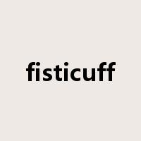 fisticuff是什么意思