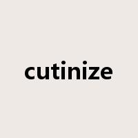 cutinize是什么意思