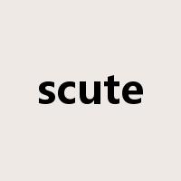 scute是什么意思