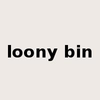 loony bin是什么意思