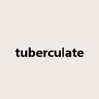 tuberculate是什么意思