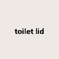 toilet lid是什么意思