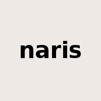 naris是什么意思