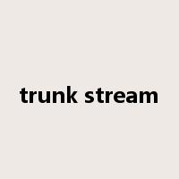 trunk stream是什么意思