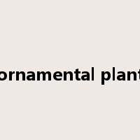 ornamental plant是什么意思