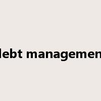 debt management是什么意思