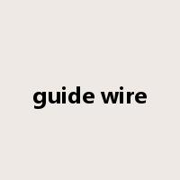 guide wire是什么意思