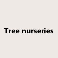 Tree nurseries是什么意思