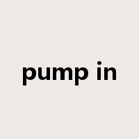 pump in是什么意思