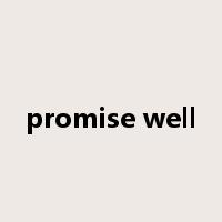 promise well是什么意思