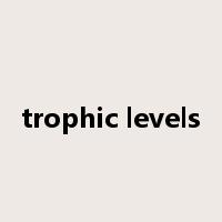 trophic levels是什么意思