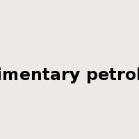 sedimentary petrology是什么意思