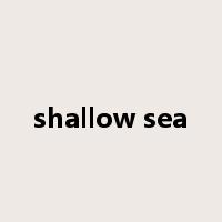 shallow sea是什么意思
