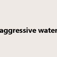 aggressive water是什么意思