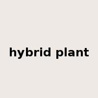hybrid plant是什么意思