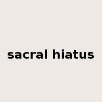 sacral hiatus是什么意思