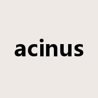 acinus是什么意思