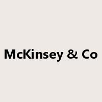 McKinsey & Co是什么意思