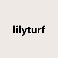 lilyturf是什么意思