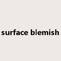 surface blemish是什么意思