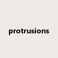 protrusions是什么意思