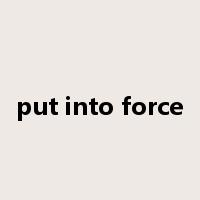 put into force是什么意思