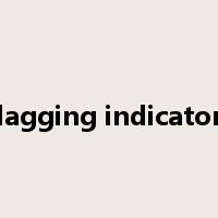 lagging indicator是什么意思