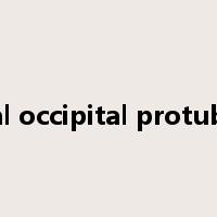 external occipital protuberance是什么意思