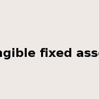 tangible fixed assets是什么意思