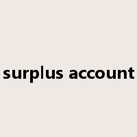 surplus account是什么意思