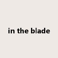 in the blade是什么意思