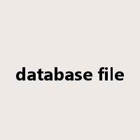 database file是什么意思