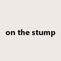 on the stump是什么意思