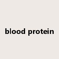 blood protein是什么意思