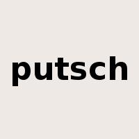 putsch是什么意思
