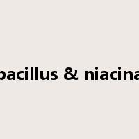 lactobacillus & niacinamide是什么意思