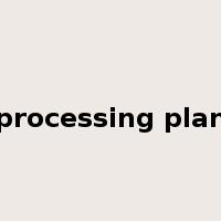 processing plan是什么意思