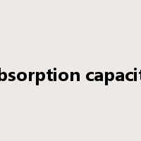 absorption capacity是什么意思