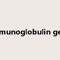 immunoglobulin gene是什么意思