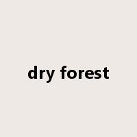 dry forest是什么意思